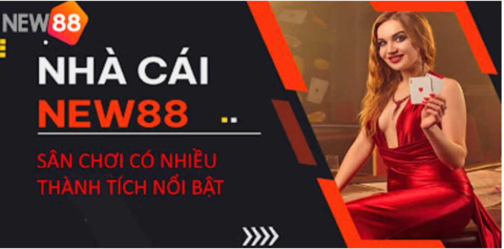 Thành tựu ấn tượng của New88